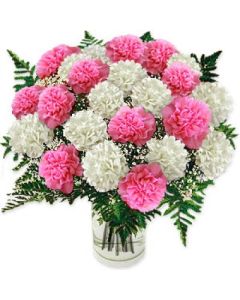 36 Pink N white Carnations in Glass Vase 