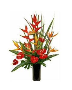 Anthurium And Bird Of Paradise in Vase 15 stems 